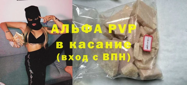 прущие грибы Надым