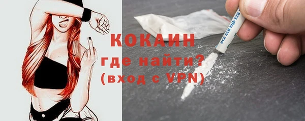 стафф Новокубанск