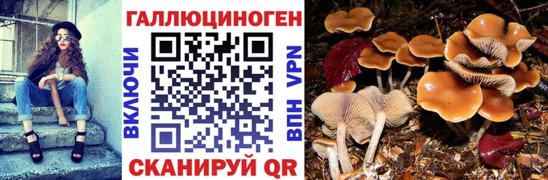 Галлюциногенные грибы Magic Shrooms  Нижняя Тура 